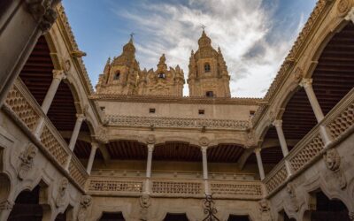 Palm Beach Outdoor Photos: Concha Solutions