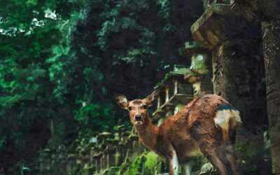 Palm Beach Countys Best Photo Locations: Your Perfect Shoot!