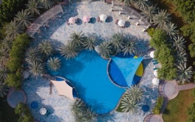 Palm Beach Outdoor Photos: Capture the Magic