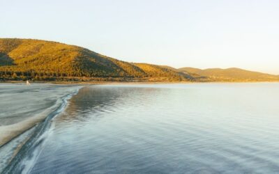 Palm Beach Golden Hour Photography