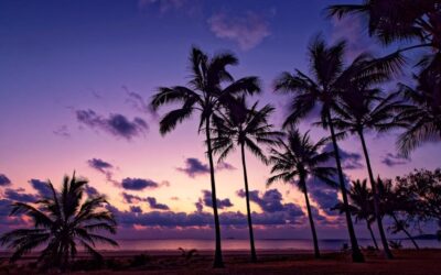 Palm Beach Outdoor Photography: Capture Paradise