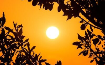 Palm Beach Golden Hour Photos