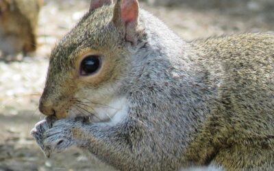 Palm Beachs Best Photo Spots: Stunning Locations for Your Shoot