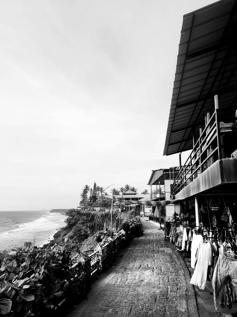 outdoor photography in palm beach