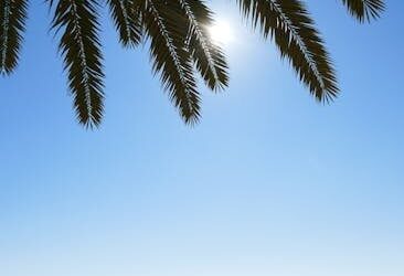 Palm Beach Photography: Your Perfect Outdoor Session