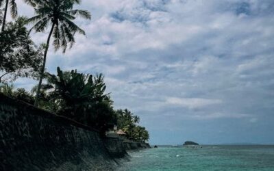 Outdoor Photography Palm Beach: Stunning Shots Await
