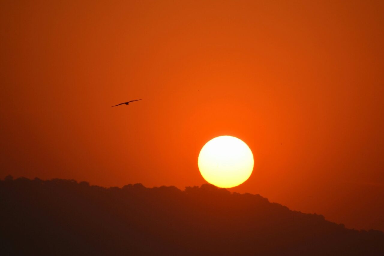 golden hour photography