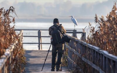 Real Estate Photographer Near Me: Showcase Properties Effectively