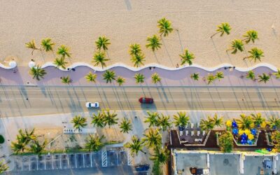 Sunset & Sizzle: Palm Beach Plate Perfection