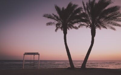 Palm Beach Outdoor Portraits: Book Yours Now