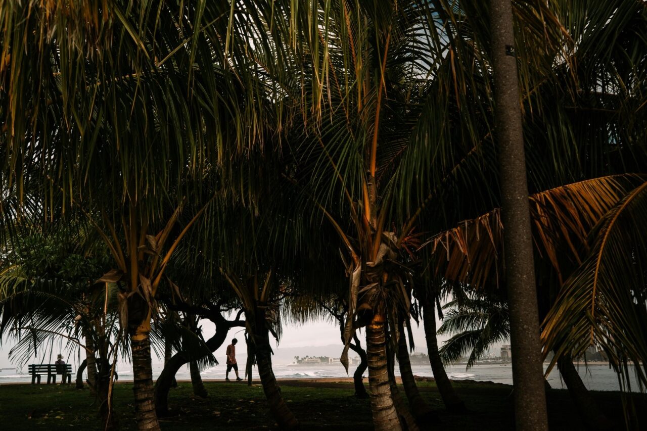 outdoor photography in palm beach