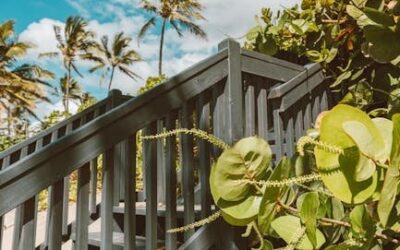 Vintage Vibes: A Retro Palm Beach Rendezvous