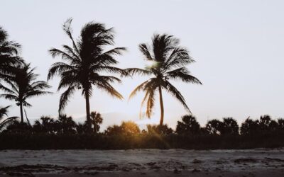 Breezy Bliss: A Worth Avenue Affair