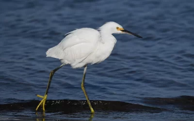 Vero Beach Photo Session: Stunning Images in Just One Hour