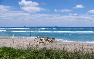 West Palm Beach Bliss: Stunning Photos in 1 Hour