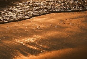 Springs Embrace: Painted by Sunset