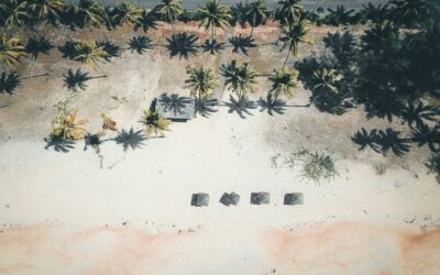 Art Deco Dreams
