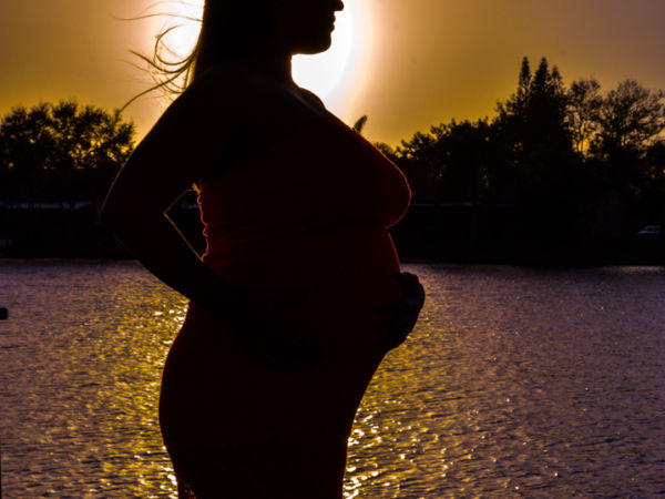 by Concha Solutions LLC