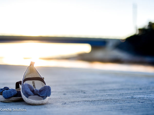 by Concha Solutions LLC