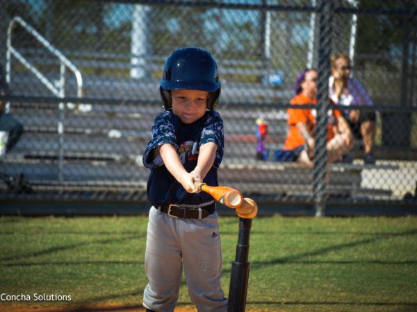 by Concha Solutions LLC