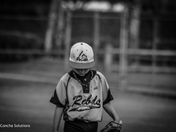 by Concha Solutions LLC