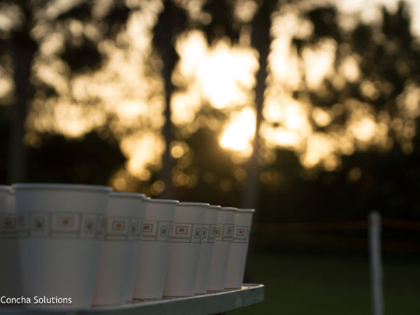 by Concha Solutions LLC