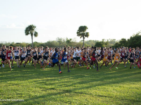 by Concha Solutions LLC