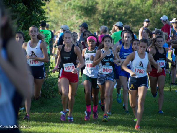 by Concha Solutions LLC