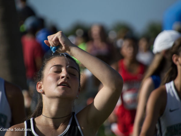 by Concha Solutions LLC