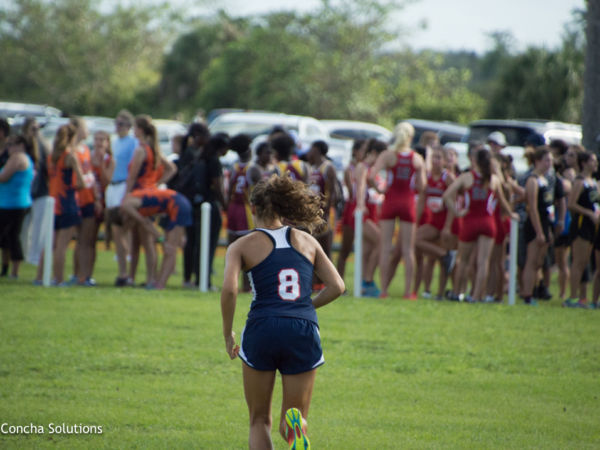 by Concha Solutions LLC