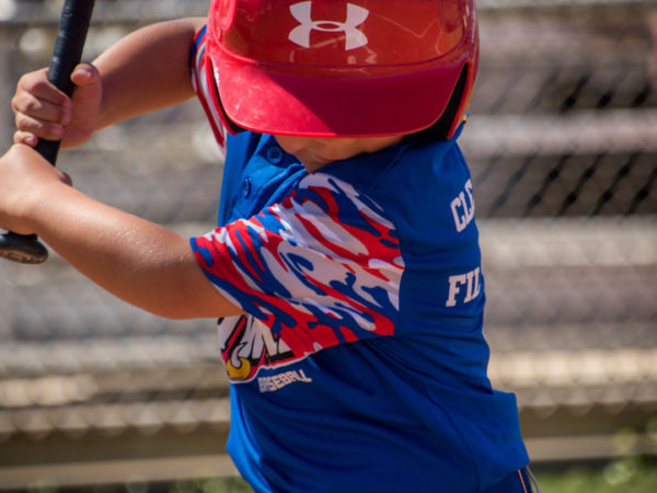 by Concha Solutions LLC