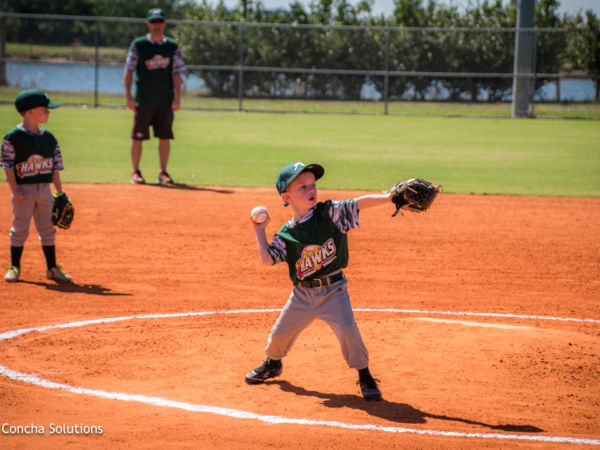 by Concha Solutions LLC