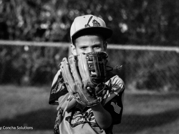 by Concha Solutions LLC