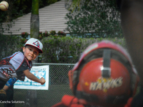 by Concha Solutions LLC