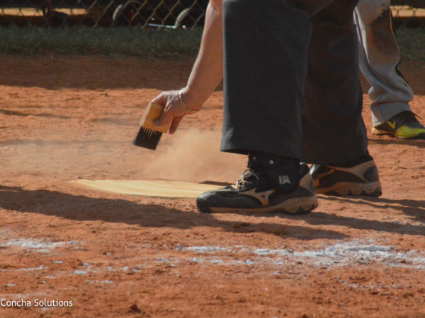 by Concha Solutions LLC