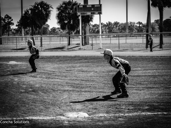 by Concha Solutions LLC