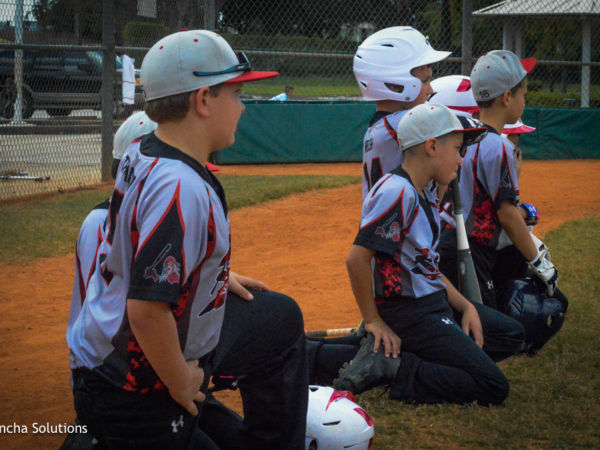 by Concha Solutions LLC