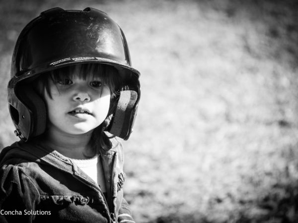 by Concha Solutions LLC