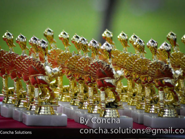 by Concha Solutions LLC