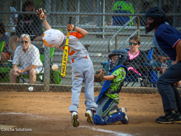 by Concha Solutions LLC