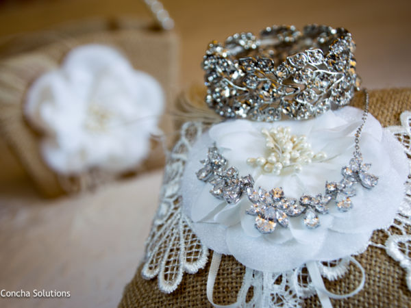 by Concha Solutions LLC